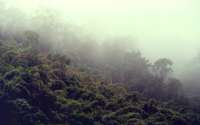 5 km weiter: tropischer Regenwald